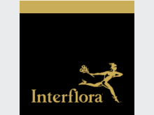Interflora Discount Codes - 10% Off - May 2026 - Wowcher
